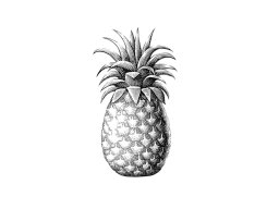 revised pineapple art